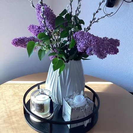 Silva Apartment *