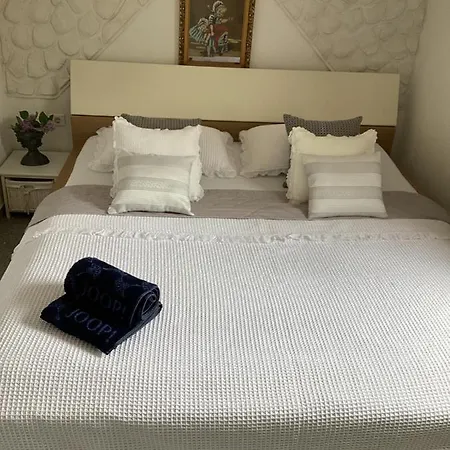 Silva Apartment *
